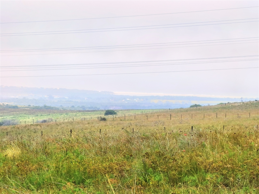 0 Bedroom Property for Sale in Kabeljauws Eastern Cape